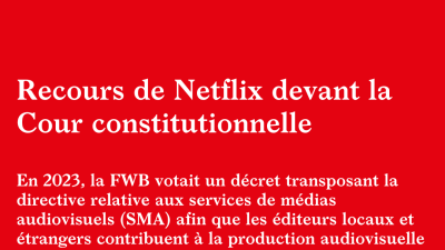 Recours de Netflix devant la Cour constitutionnelle : décryptage