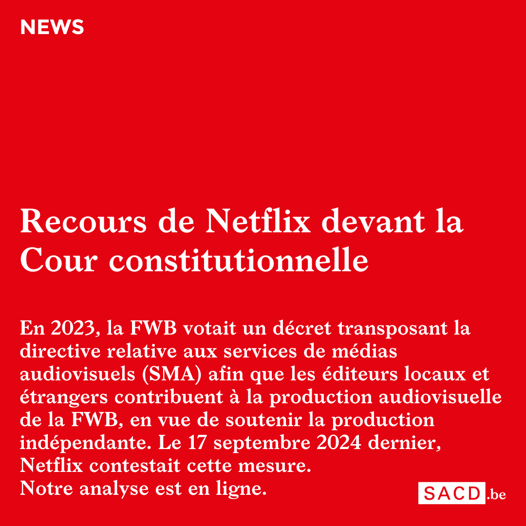 Recours de Netflix devant la Cour constitutionnelle : décryptage